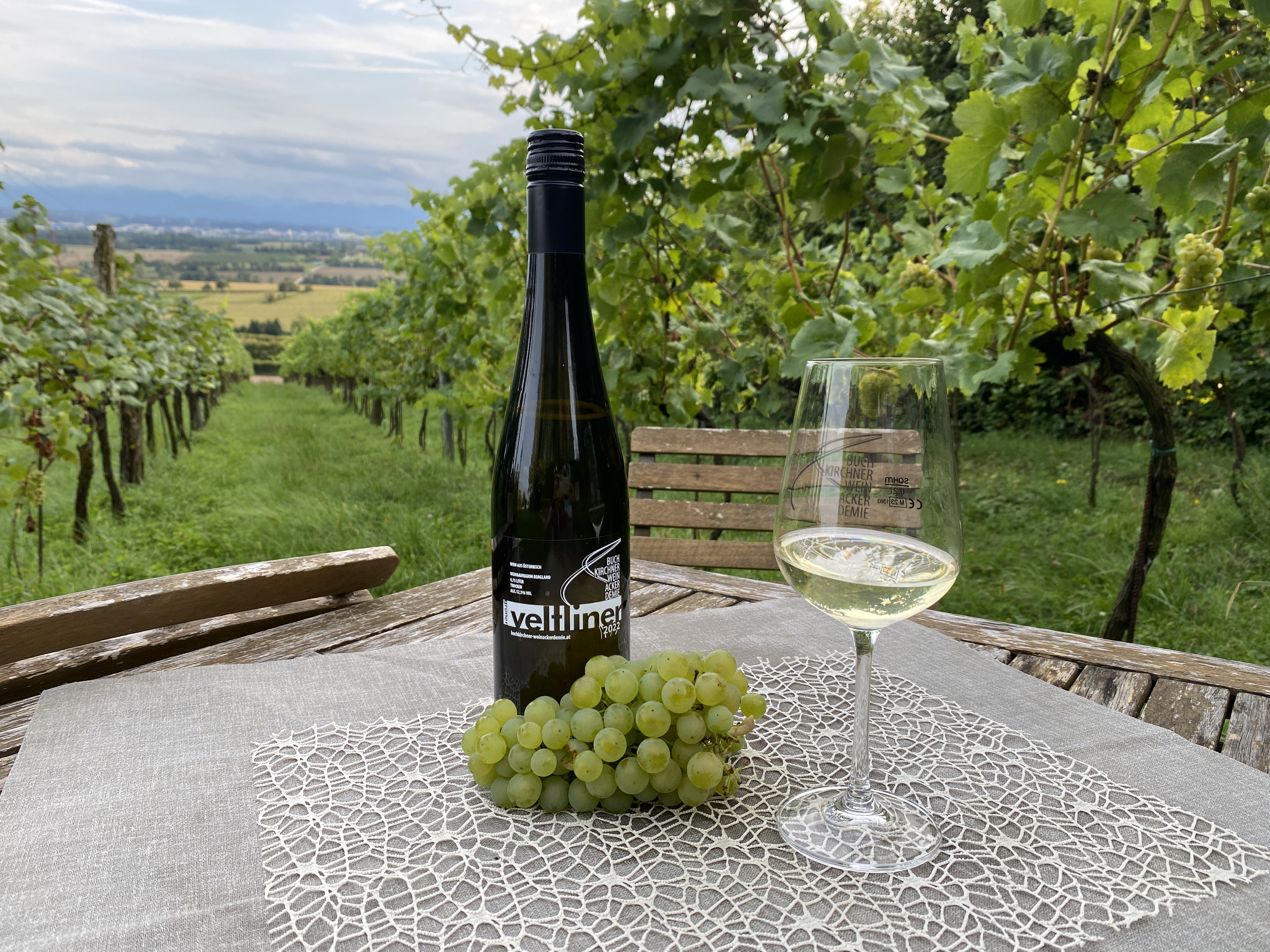 Grüner Veltliner