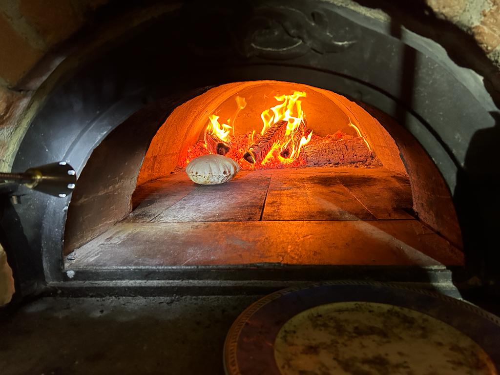 Pizzaofen 14